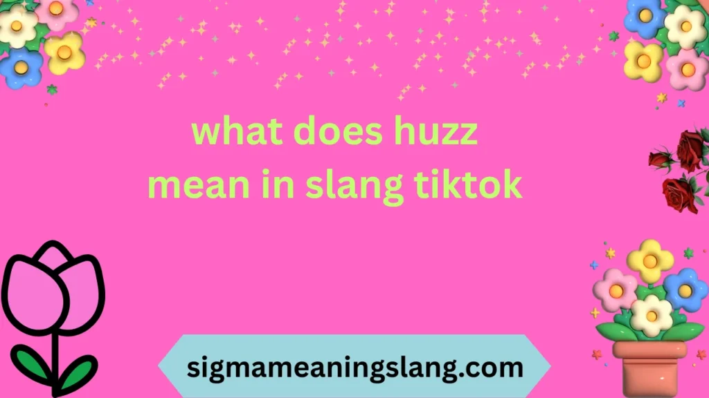 what does huzz mean in slang tiktok
