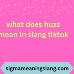 what does huzz mean in slang tiktok