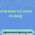 what does ice mean in slang