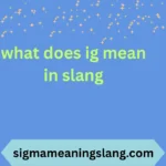 what does ig mean in slang