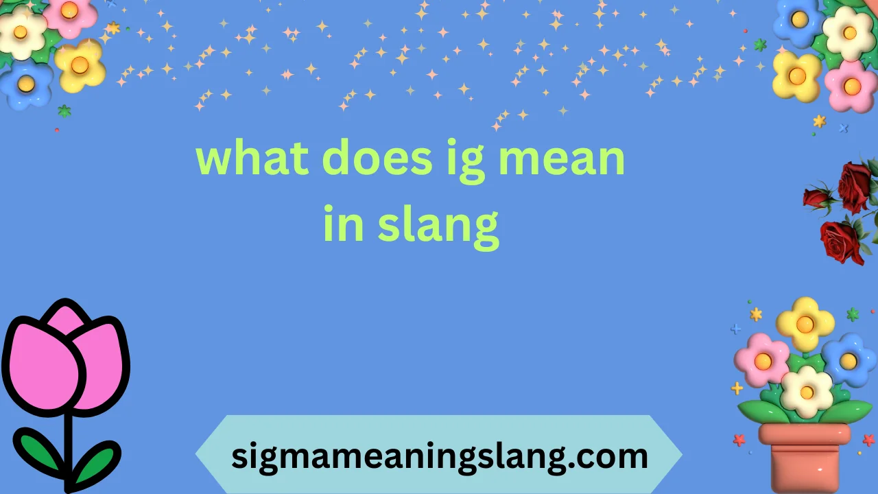 what does ig mean in slang