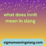 what does innit mean in slang