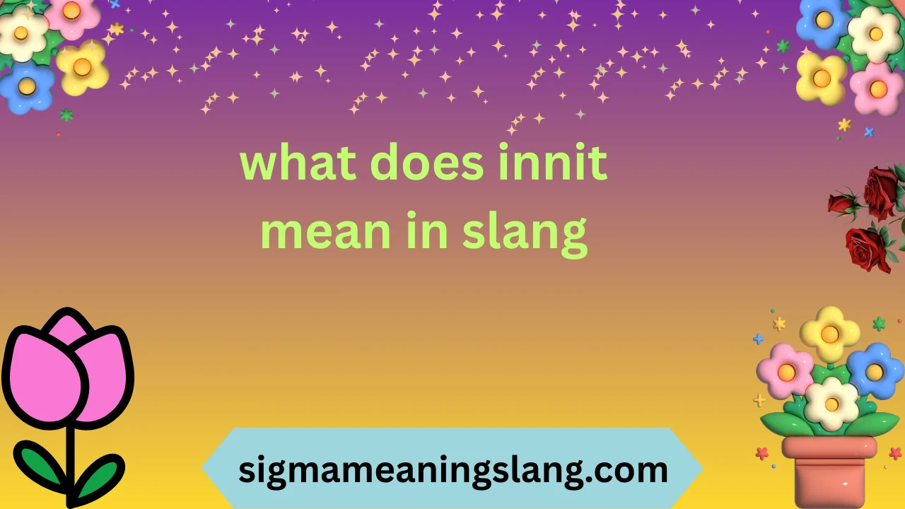 what does innit mean in slang