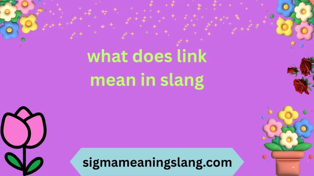 what does link mean in slang