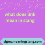 what does link mean in slang