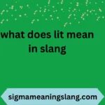 what does lit mean in slang