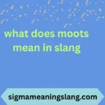 what does moots mean in slang