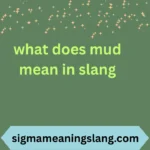 what does mud mean in slang