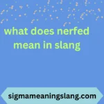 what does nerfed mean in slang