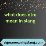what does ntm mean in slang