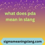 what does pda mean in slang