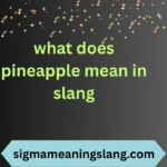 what does pineapple mean in slang