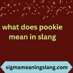 what does pookie mean in slang