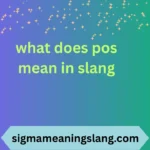 what does pos mean in slang