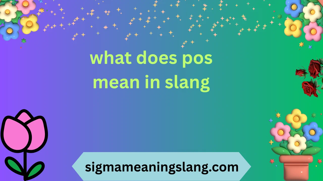 what does pos mean in slang