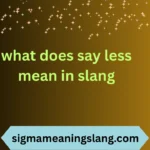 what does say less mean in slang