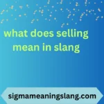 what does selling mean in slang