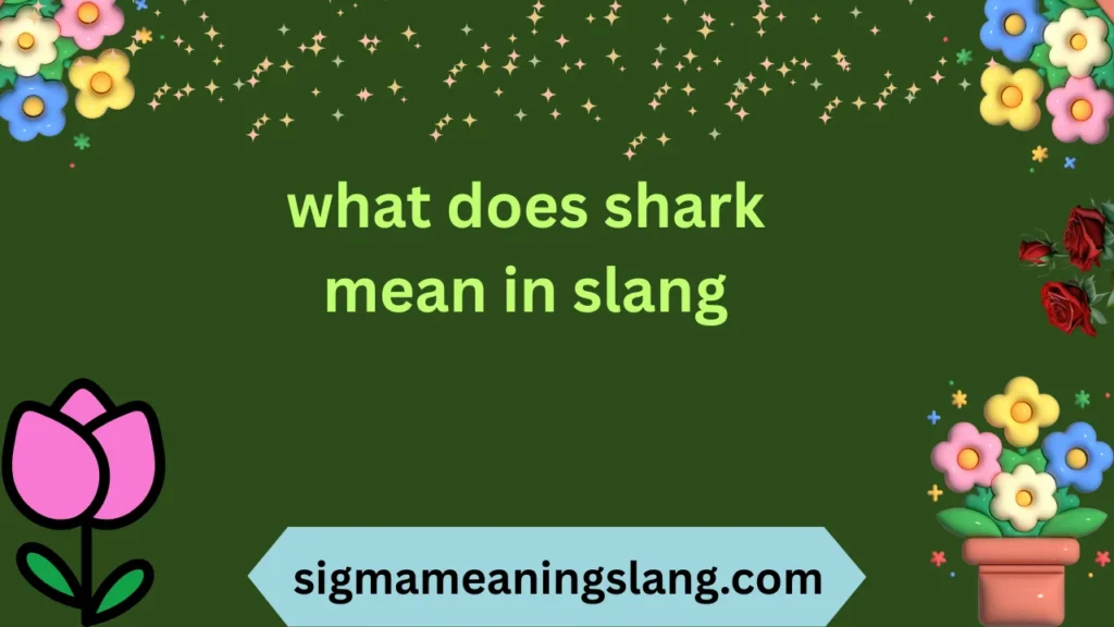 what does shark mean in slang
