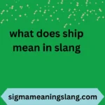 what does ship mean in slang