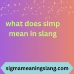 what does simp mean in slang