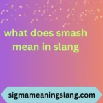 what does smash mean in slang
