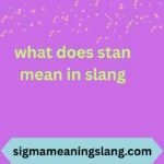 what does stan mean in slang
