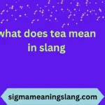 what does tea mean in slang