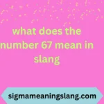 what does the number 67 mean in slang