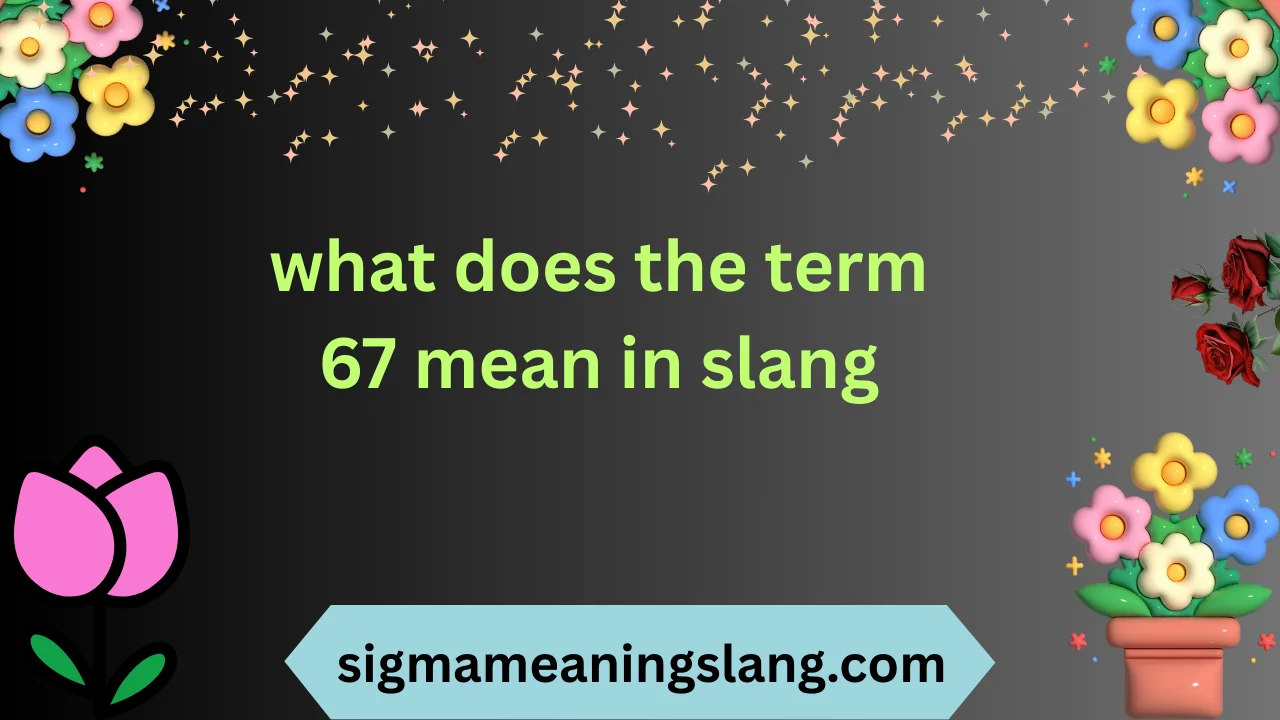 what does the term 67 mean in slang