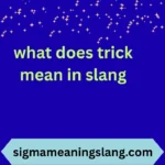 what does trick mean in slang