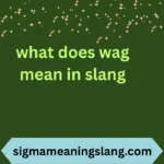 what does wag mean in slang
