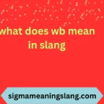 what does wb mean in slang