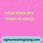 what does wtv mean in slang