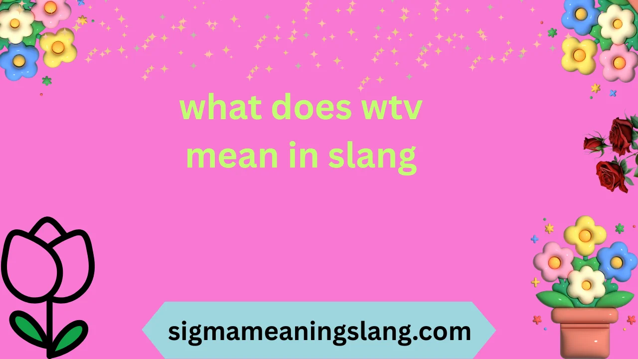 what does wtv mean in slang
