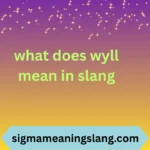 what does wyll mean in slang