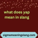 what does yap mean in slang