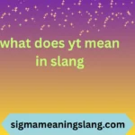 what does yt mean in slang