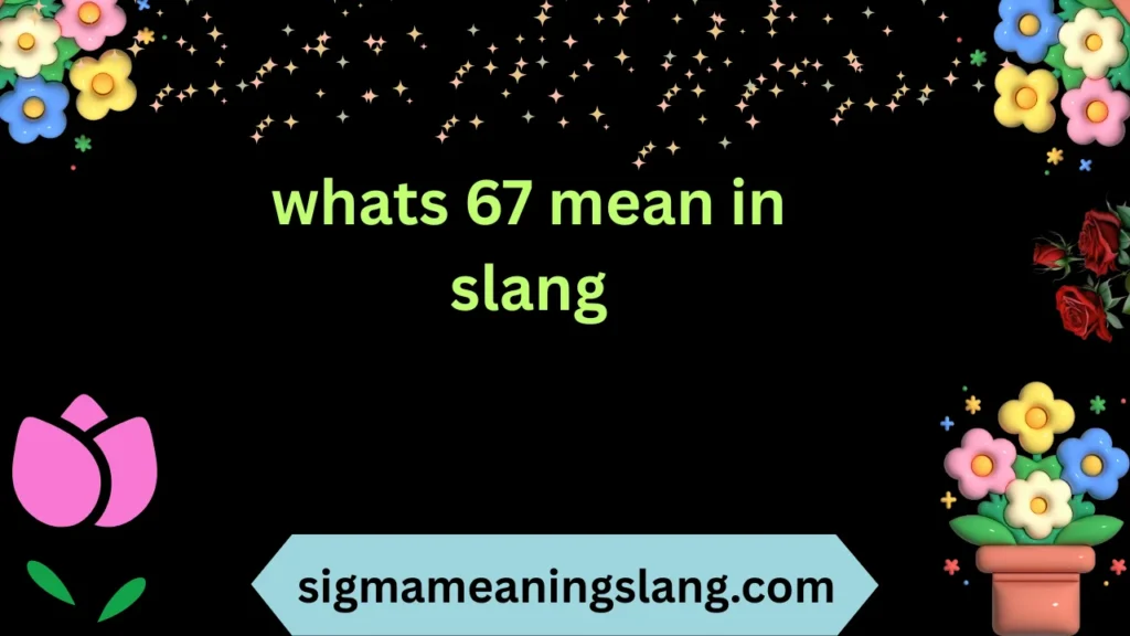whats 67 mean in slang