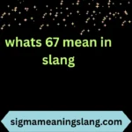 whats 67 mean in slang