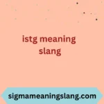 istg meaning slang