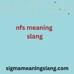 nfs meaning slang
