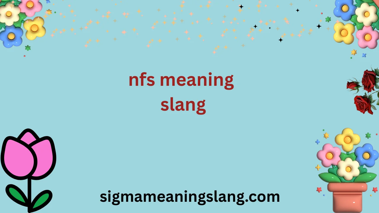 nfs meaning slang