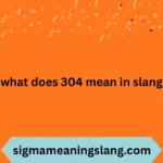 what does 304 mean in slang