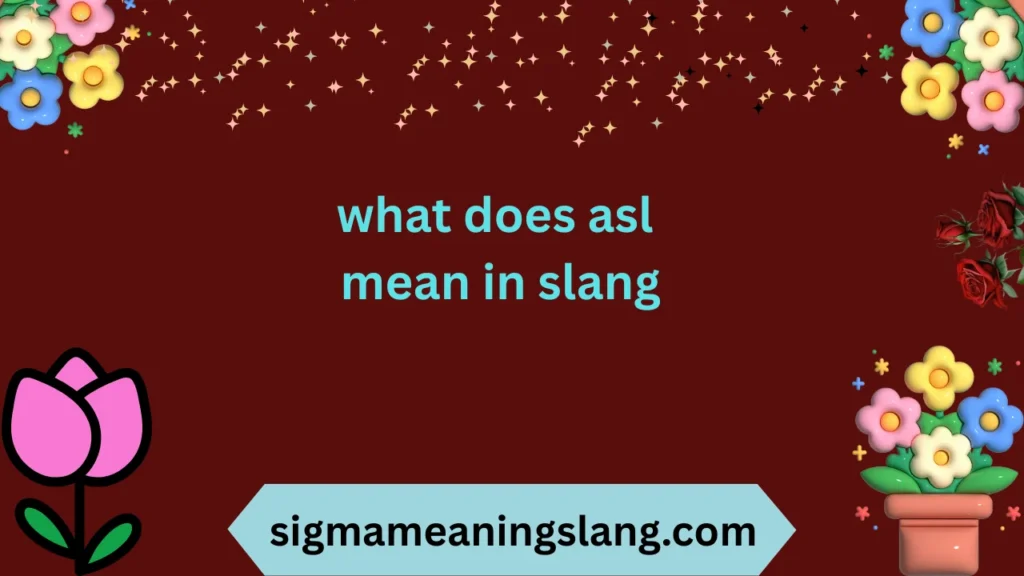 what does asl mean in slang