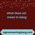 what does asl mean in slang