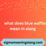 what does blue waffle mean in slang