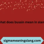 what does bussin mean in slang
