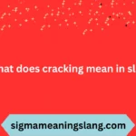 what does cracking mean in slang