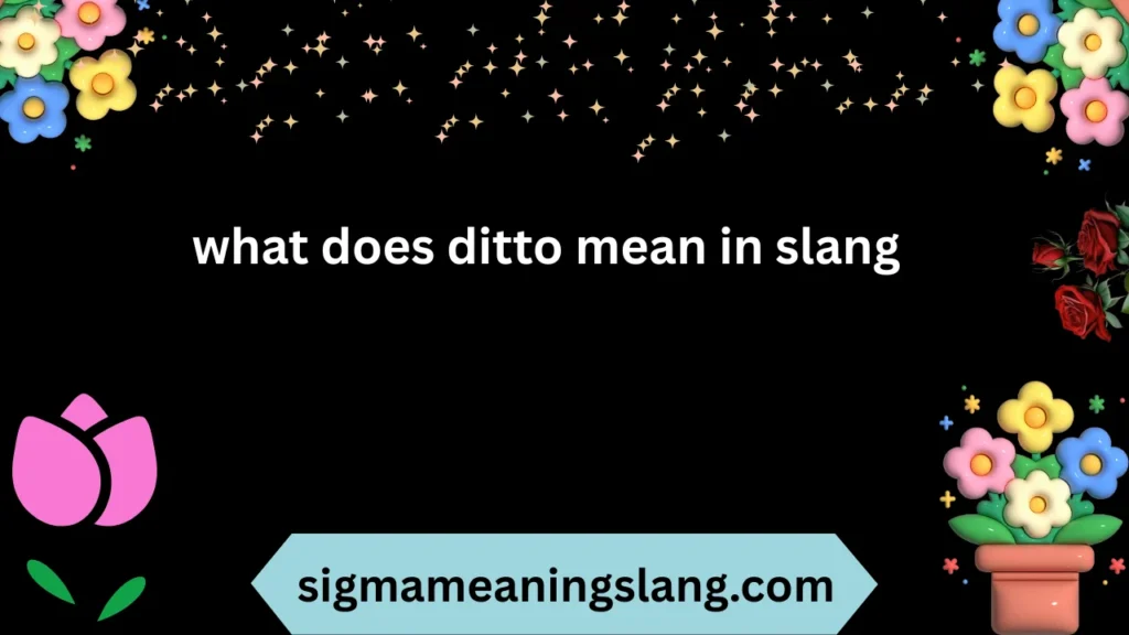 what does ditto mean in slang