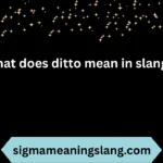 what does ditto mean in slang